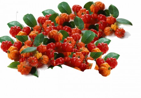 Natura Ekos - Pitanga